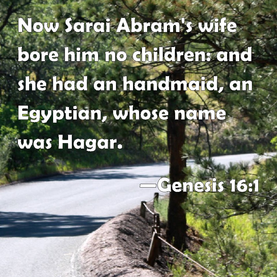 Genesis 161 Now Sarai Abram's wife bore him no children and she had