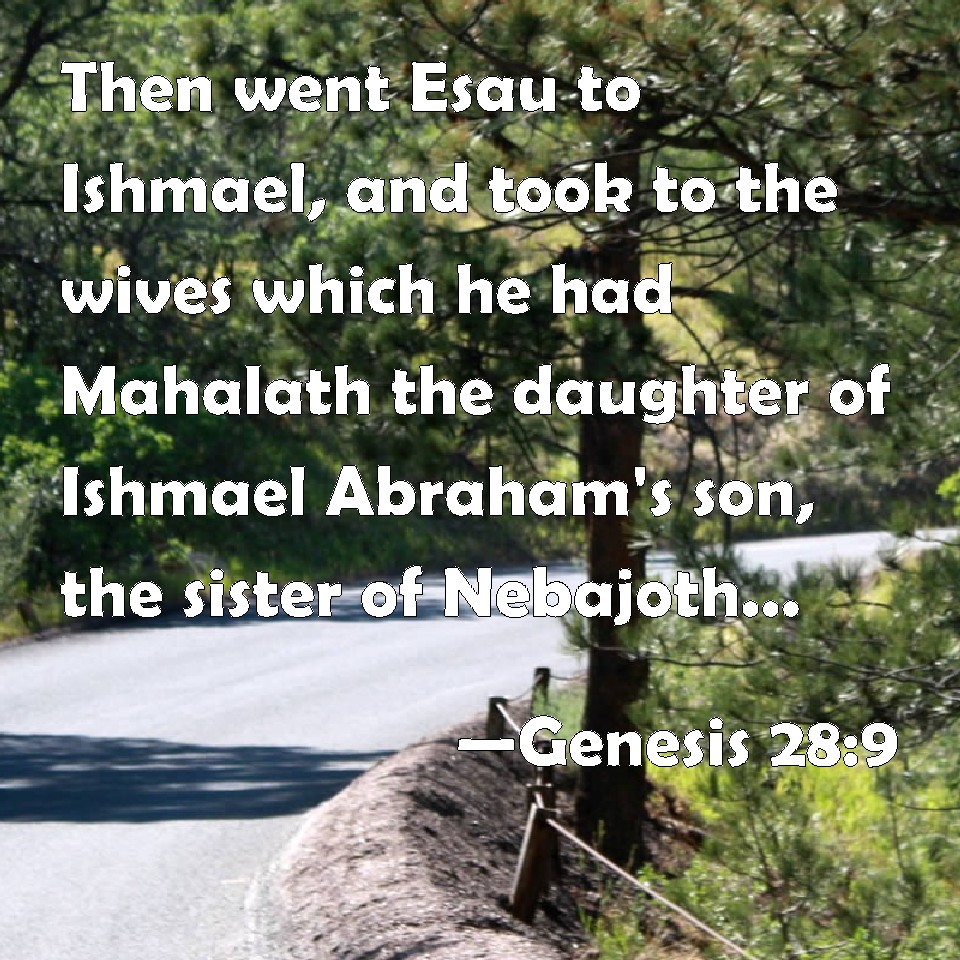 Genesis 289 Then went Esau to Ishmael, and took to the wives which he
