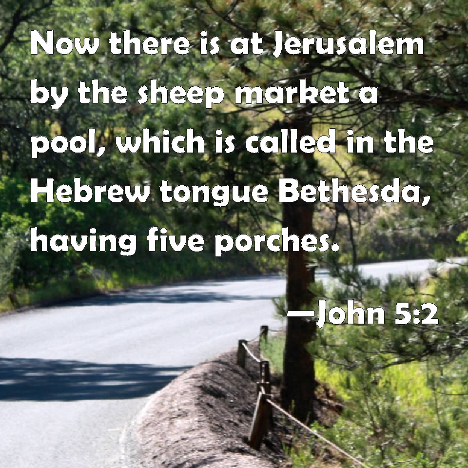 John 52 Now there is at Jerusalem by the sheep market a pool, which is