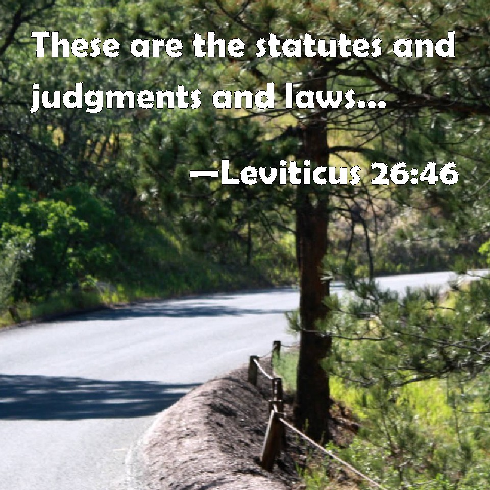 Leviticus 2646 These are the statutes and judgments and laws, which the LORD made between him