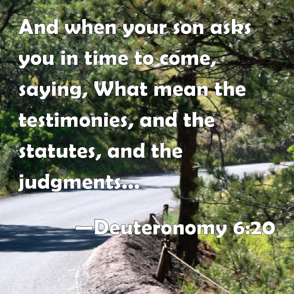 Deuteronomy 620 And when your son asks you in time to come, saying, What mean the testimonies