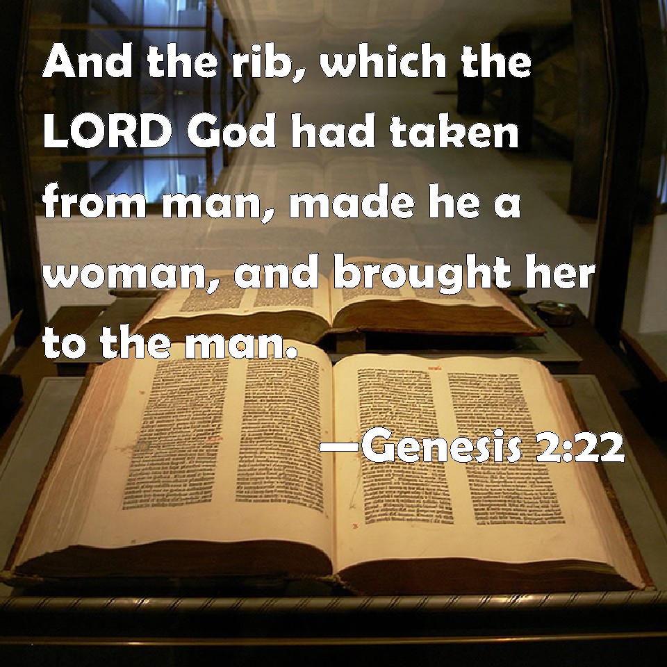 Genesis 222 And the rib, which the LORD God had taken from man, made