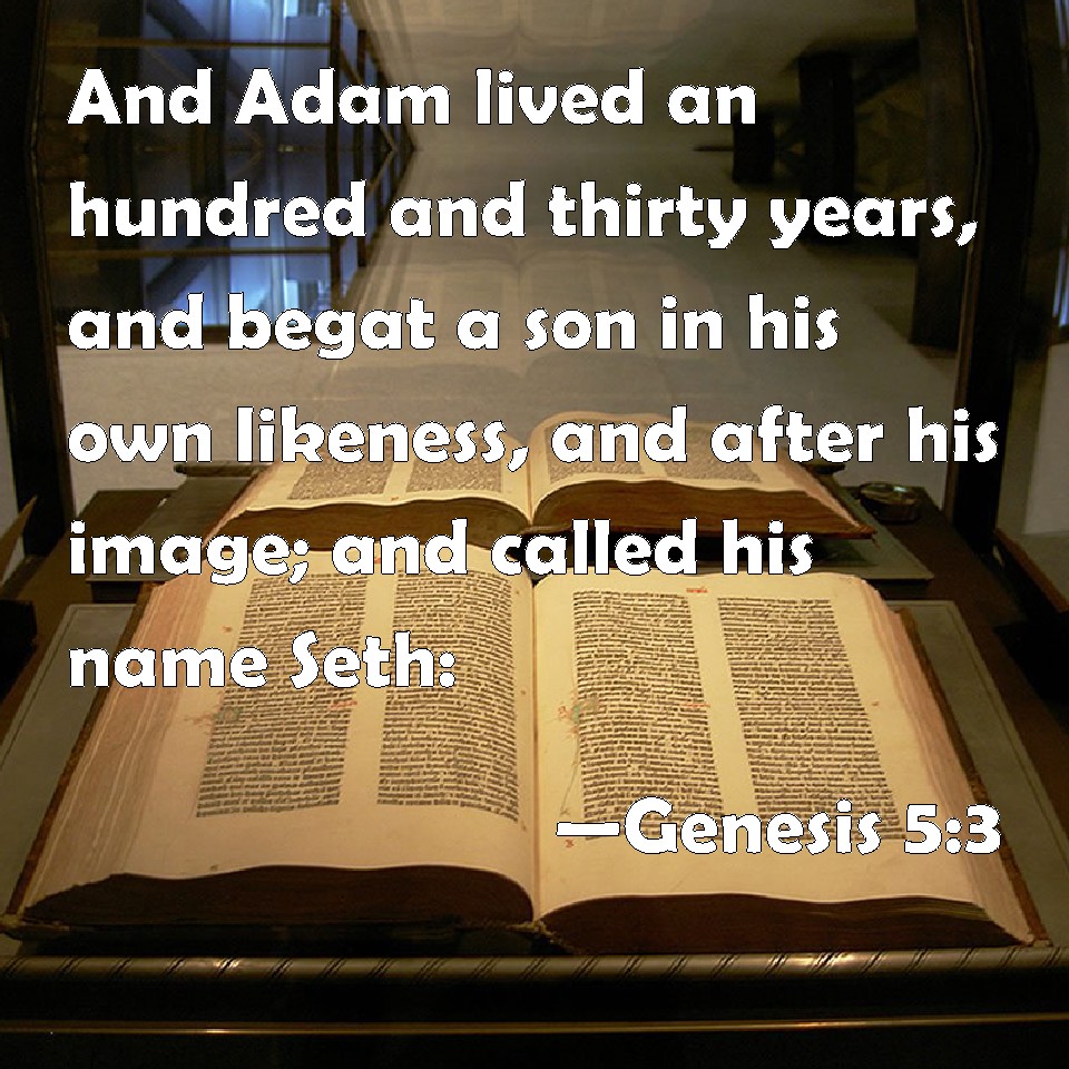 Genesis 53 And Adam lived an hundred and thirty years, and begat a son