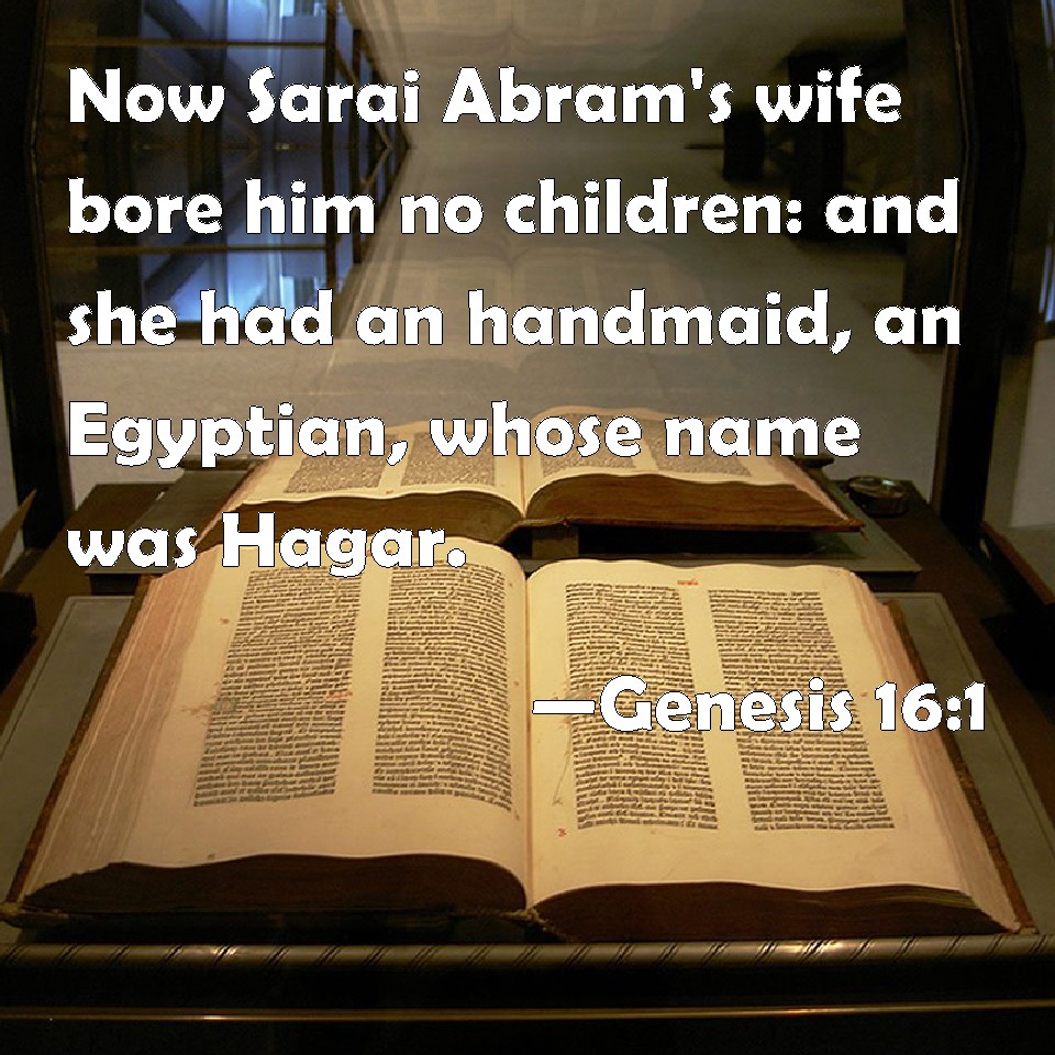 Genesis 161 Now Sarai Abram's wife bore him no children and she had