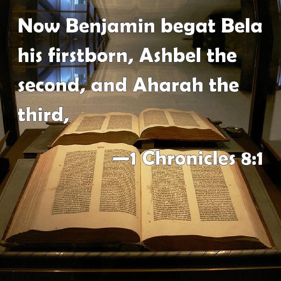 1 Chronicles 81 Now Benjamin begat Bela his firstborn, Ashbel the