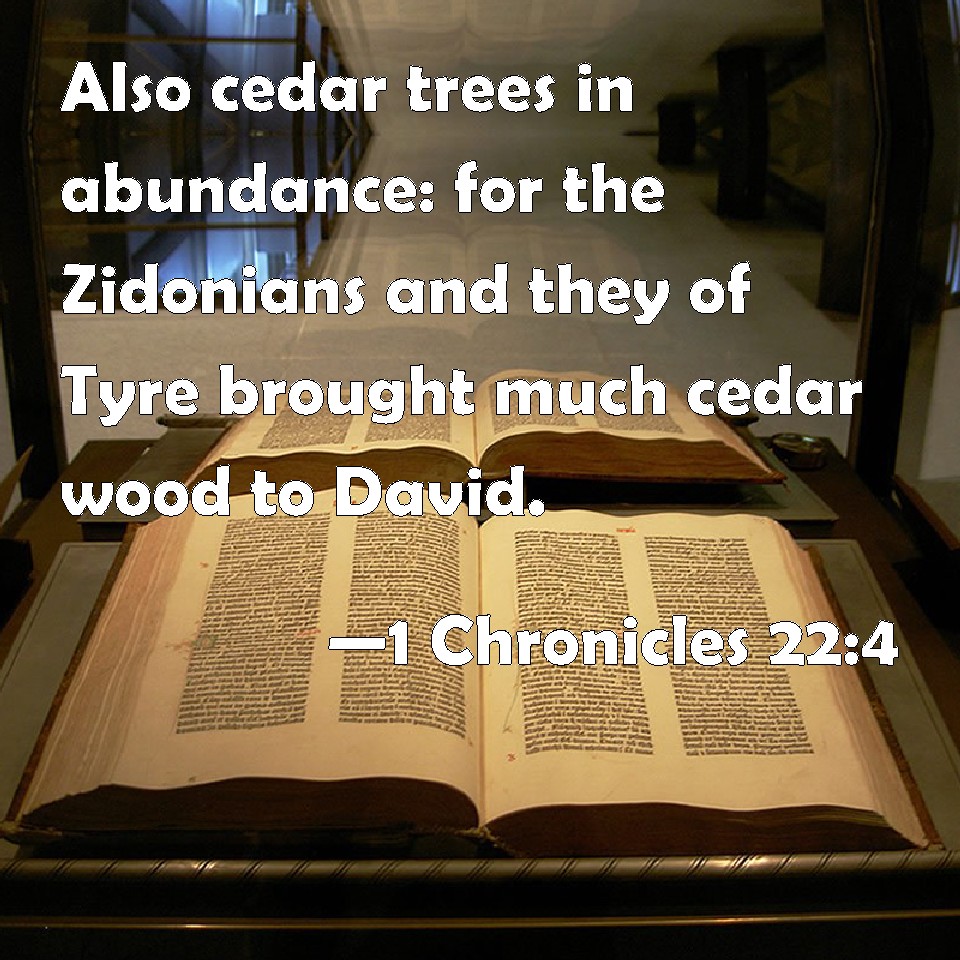1 Chronicles 224 Also cedar trees in abundance for the Zidonians and