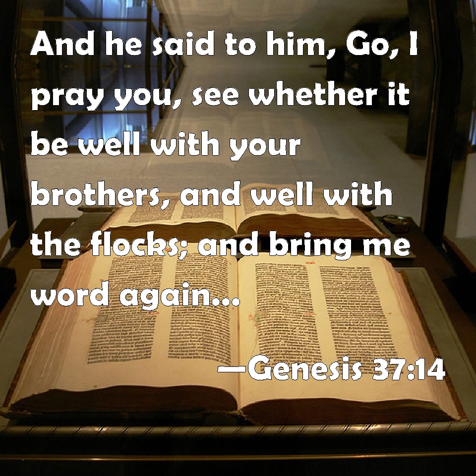 Genesis 3714 And he said to him, Go, I pray you, see whether it be