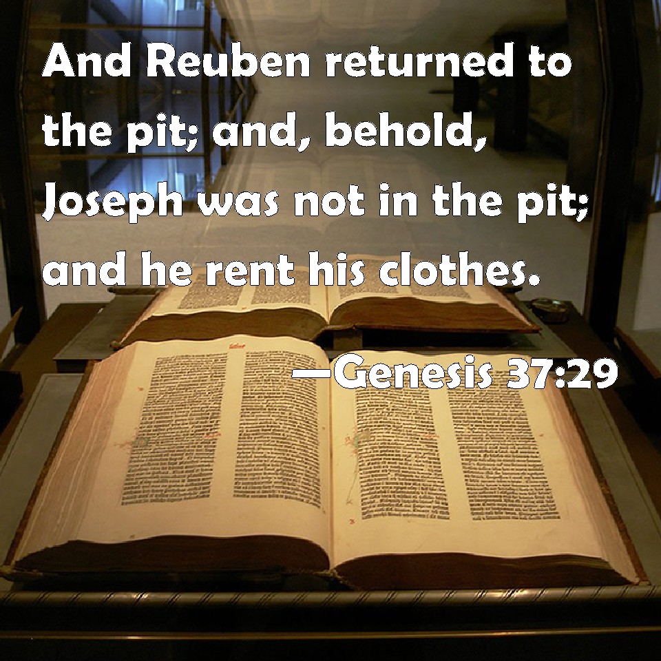 Genesis 3729 And Reuben returned to the pit; and, behold, Joseph was