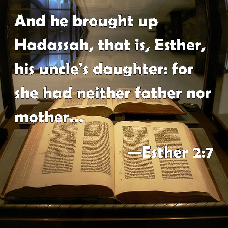 Esther 27 And he brought up Hadassah, that is, Esther, his uncle's