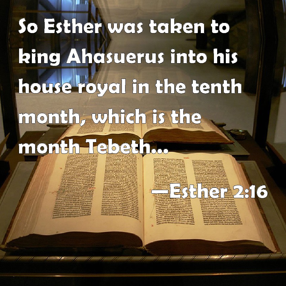 Esther 216 So Esther was taken to king Ahasuerus into his house royal