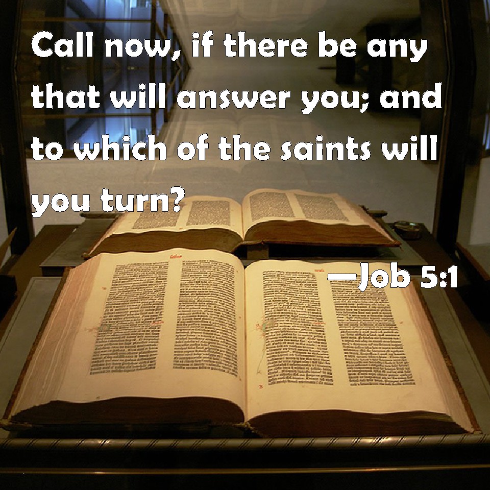 Job 51 Call now, if there be any that will answer you; and to which of