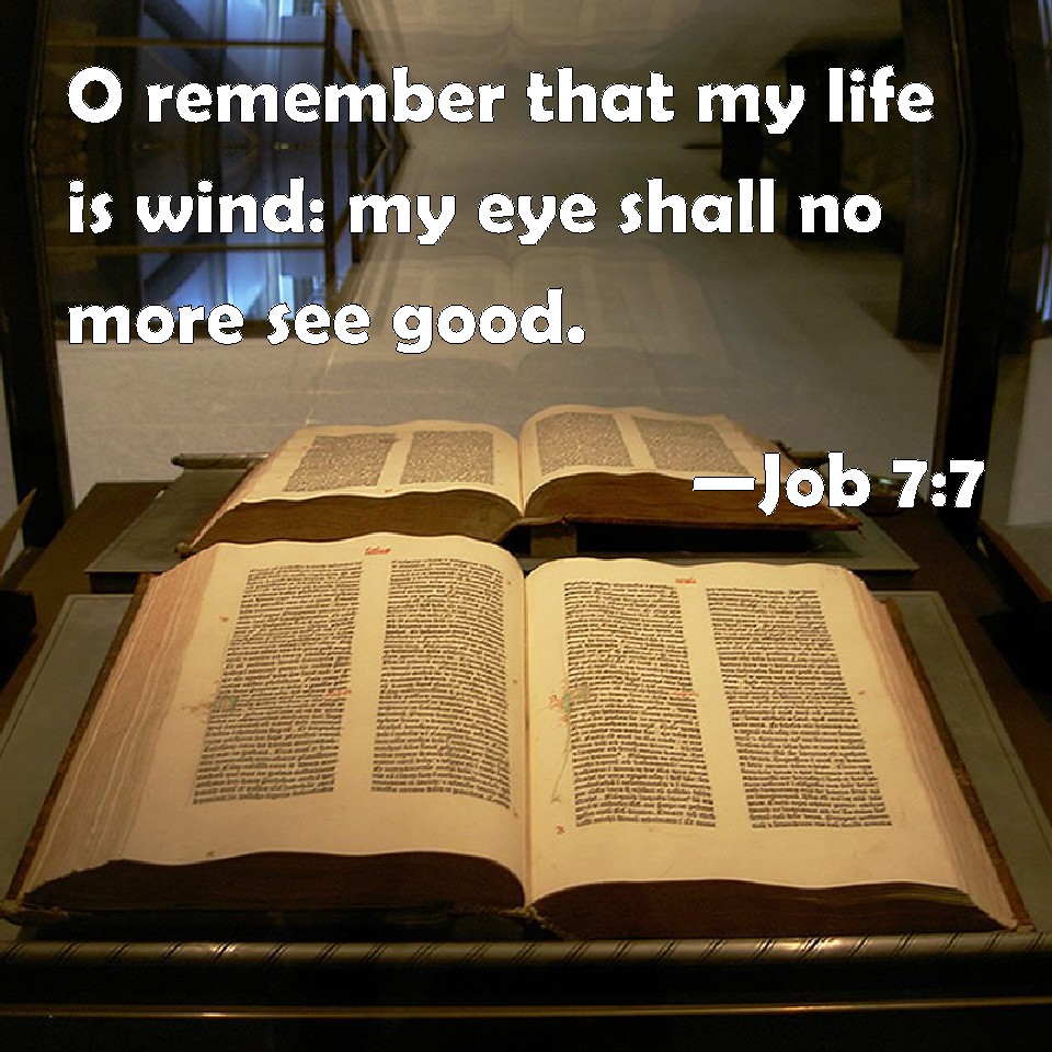 Job 77 O remember that my life is wind my eye shall no more see good.