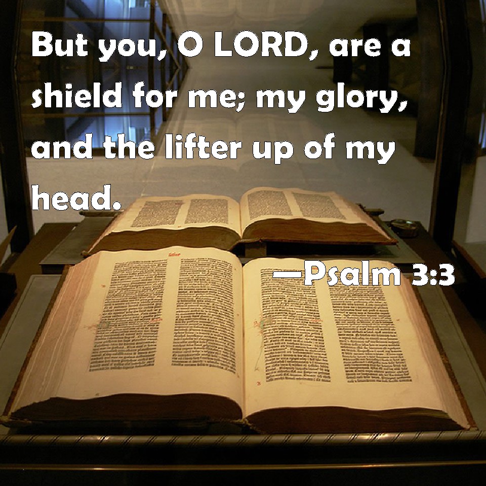 Psalm 33 But you, O LORD, are a shield for me; my glory, and the lifter up of my head.