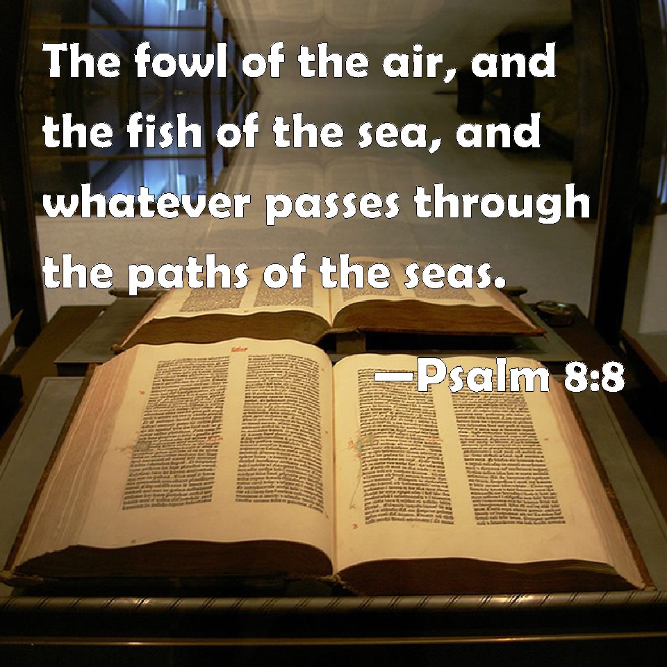 Psalm 88 The fowl of the air, and the fish of the sea, and whatever