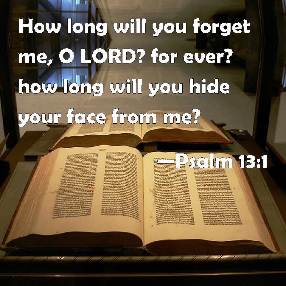 Psalm 131 How long will you me, O LORD? for ever