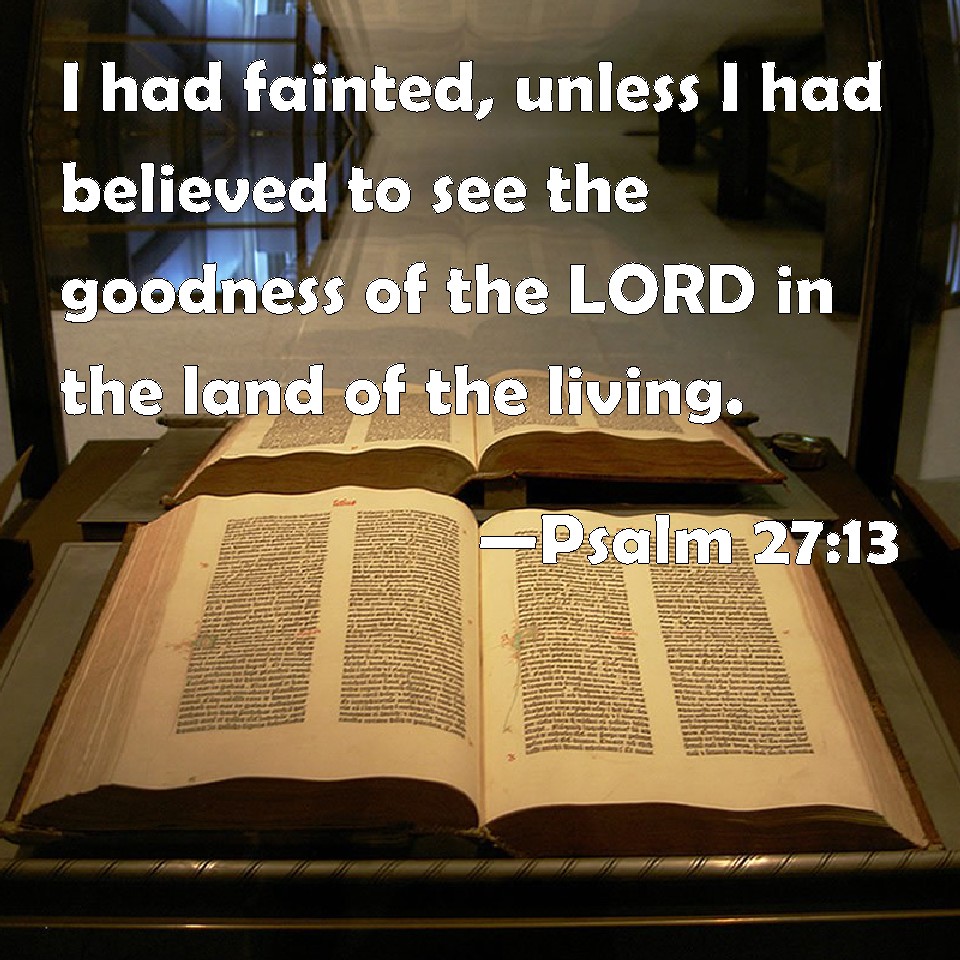 Psalm 2713 I had fainted, unless I had believed to see the goodness of the LORD in the land of