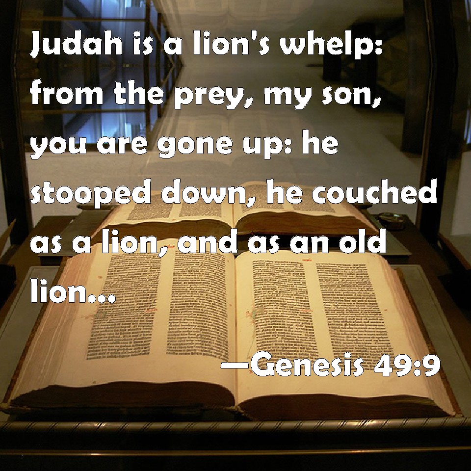 Genesis 499 Judah is a lion's whelp from the prey, my son, you are
