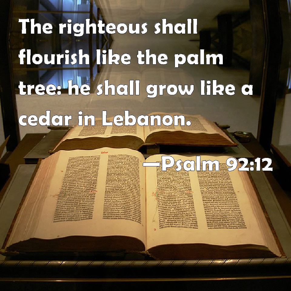 Psalm 9212 The righteous shall flourish like the palm tree he shall