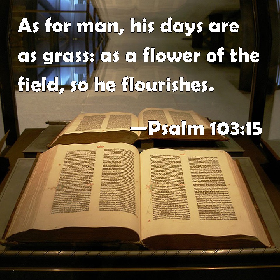 Psalm 10315 As for man, his days are as grass as a flower of the