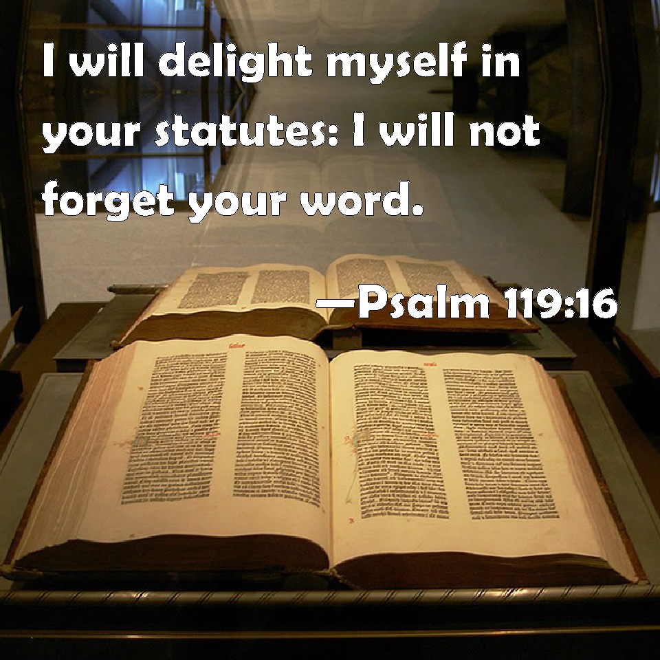 Psalm 11916 I will delight myself in your statutes I will not