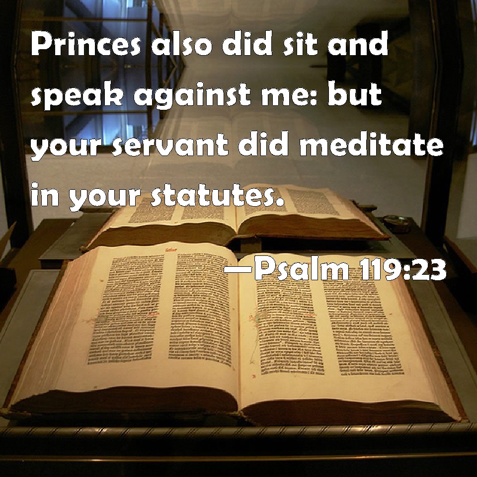 Psalm 11923 Princes also did sit and speak against me but your