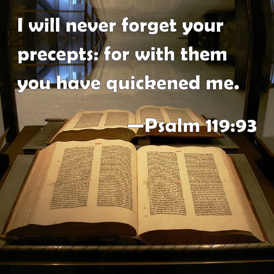 Psalm 11993 I will never your precepts for with them you have