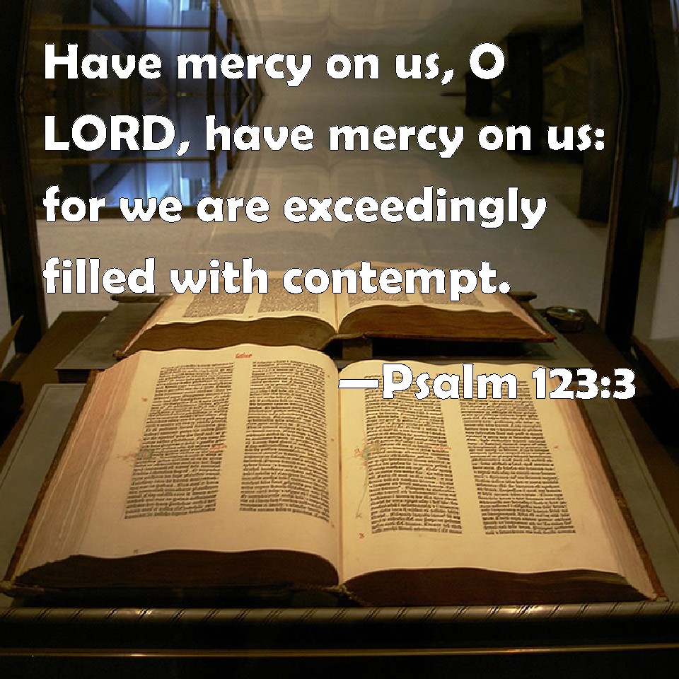 Psalm 1233 Have mercy on us, O LORD, have mercy on us for we are