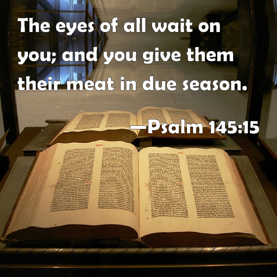 Psalm 14515 The eyes of all wait on you; and you give them their meat