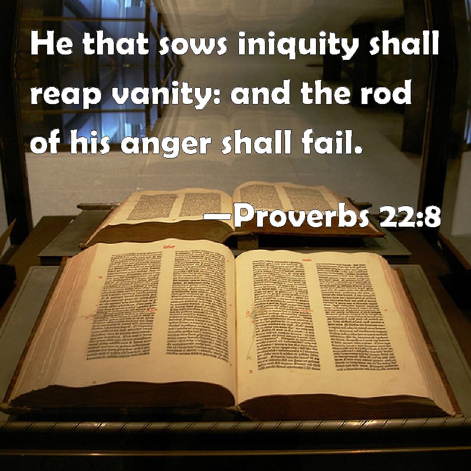 Proverbs 228 He that sows iniquity shall reap vanity and the rod of