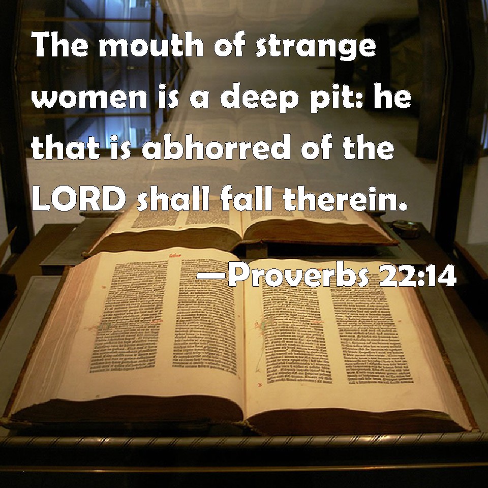 Proverbs 2214 The mouth of strange women is a deep pit he that is