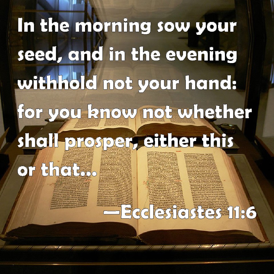 Ecclesiastes 116 In the morning sow your seed, and in the evening