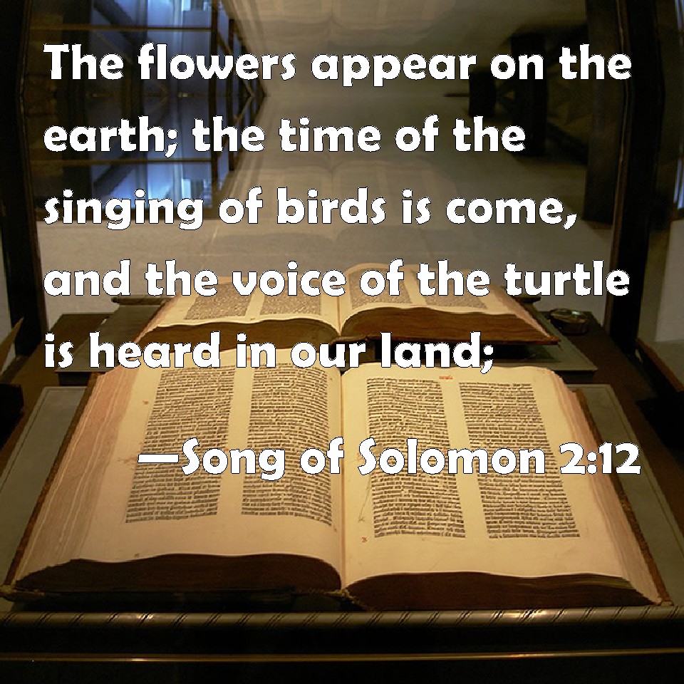 Song of Solomon 212 The flowers appear on the earth; the time of the