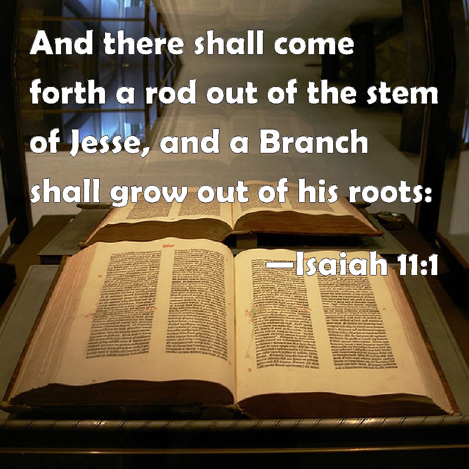 Isaiah 111 And there shall come forth a rod out of the stem of Jesse