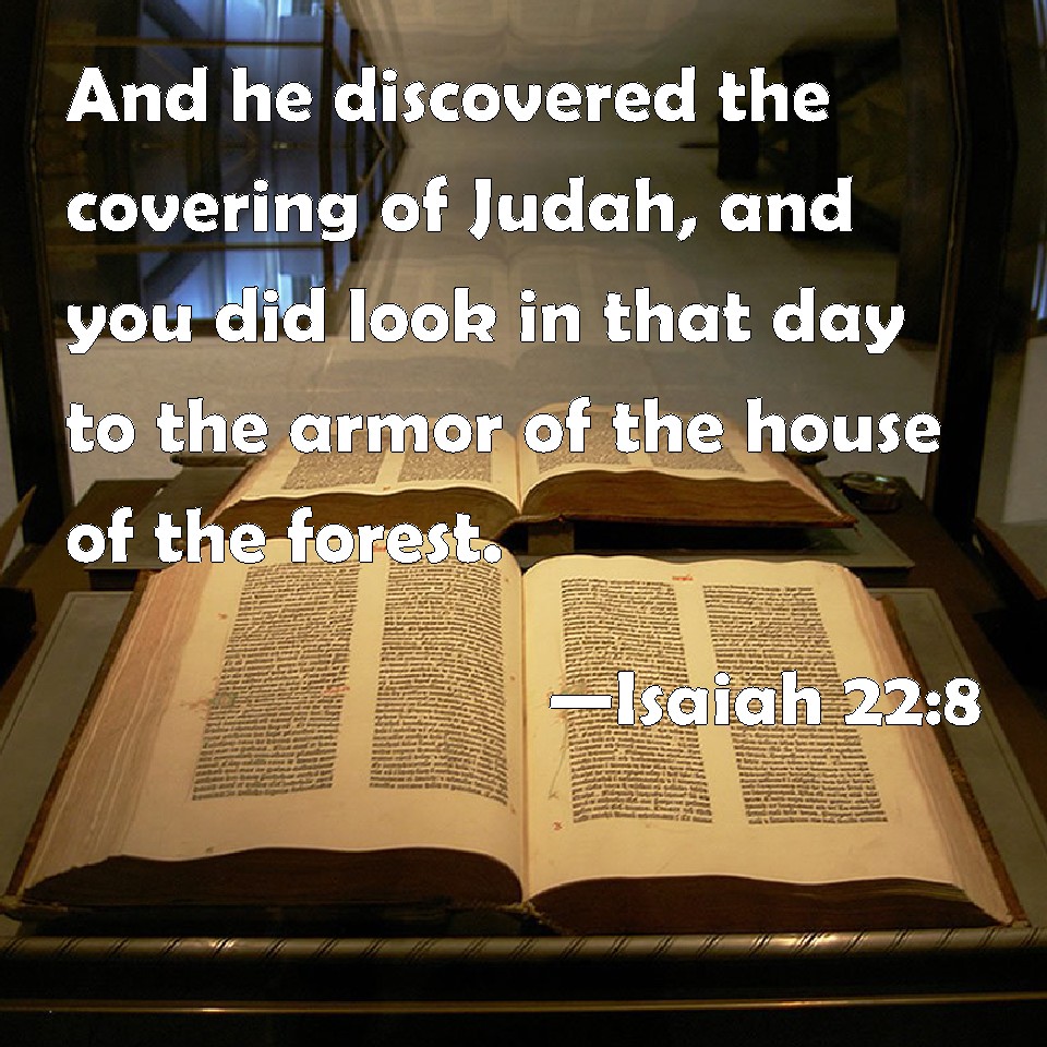 Isaiah 228 And he discovered the covering of Judah, and you did look