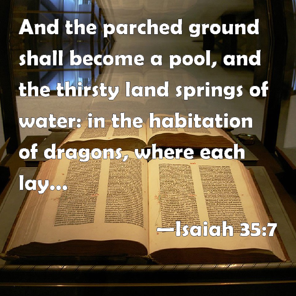 Isaiah 357 And the parched ground shall a pool, and the thirsty