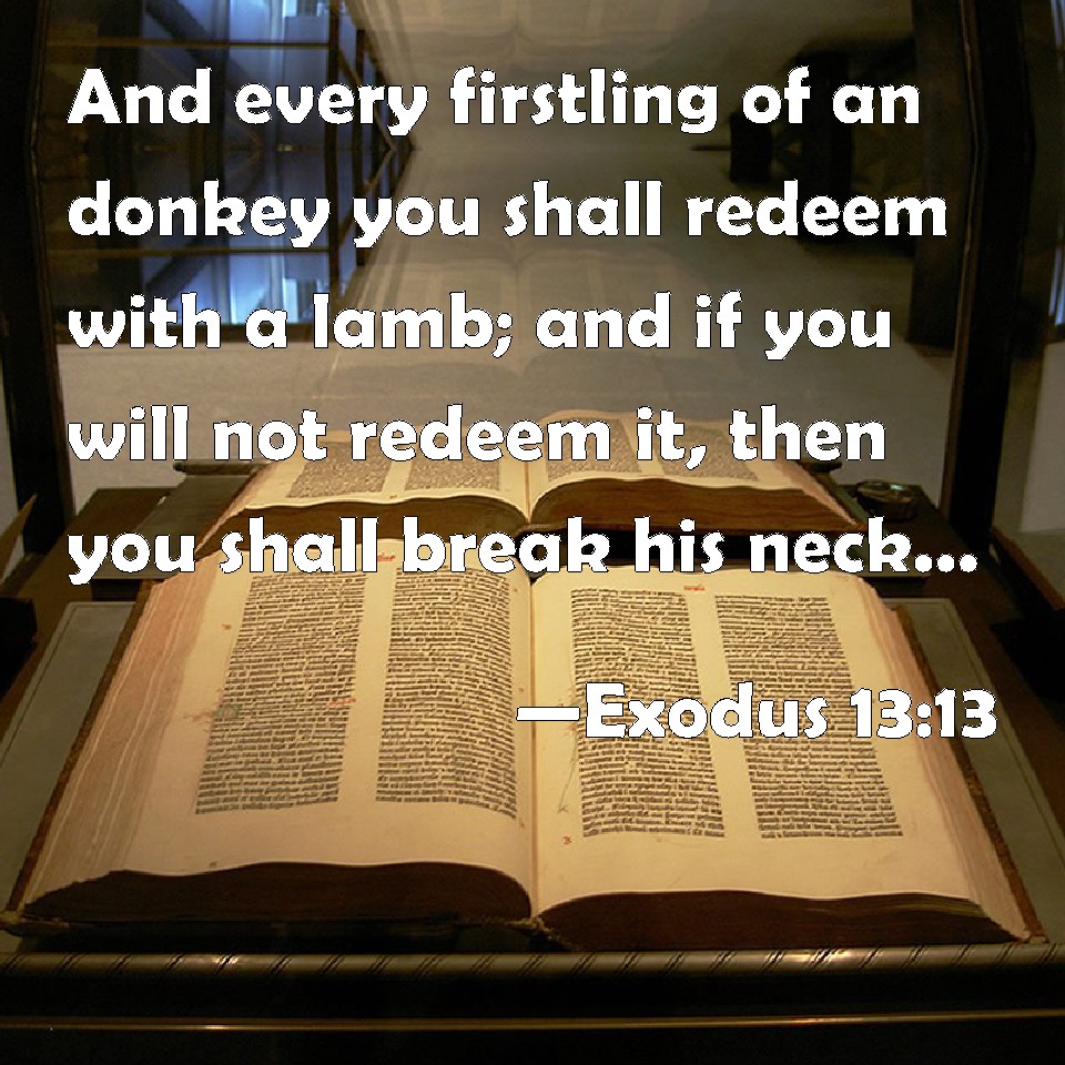 Exodus 1313 And every firstling of an ass you shall redeem with a lamb; and if you will not