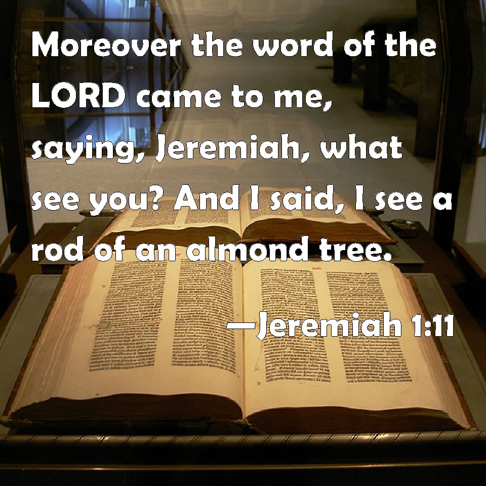 Jeremiah 111 Moreover the word of the LORD came to me, saying