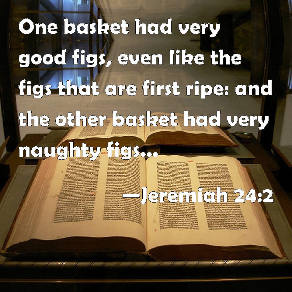 Jeremiah 242 One basket had very good figs, even like the figs that