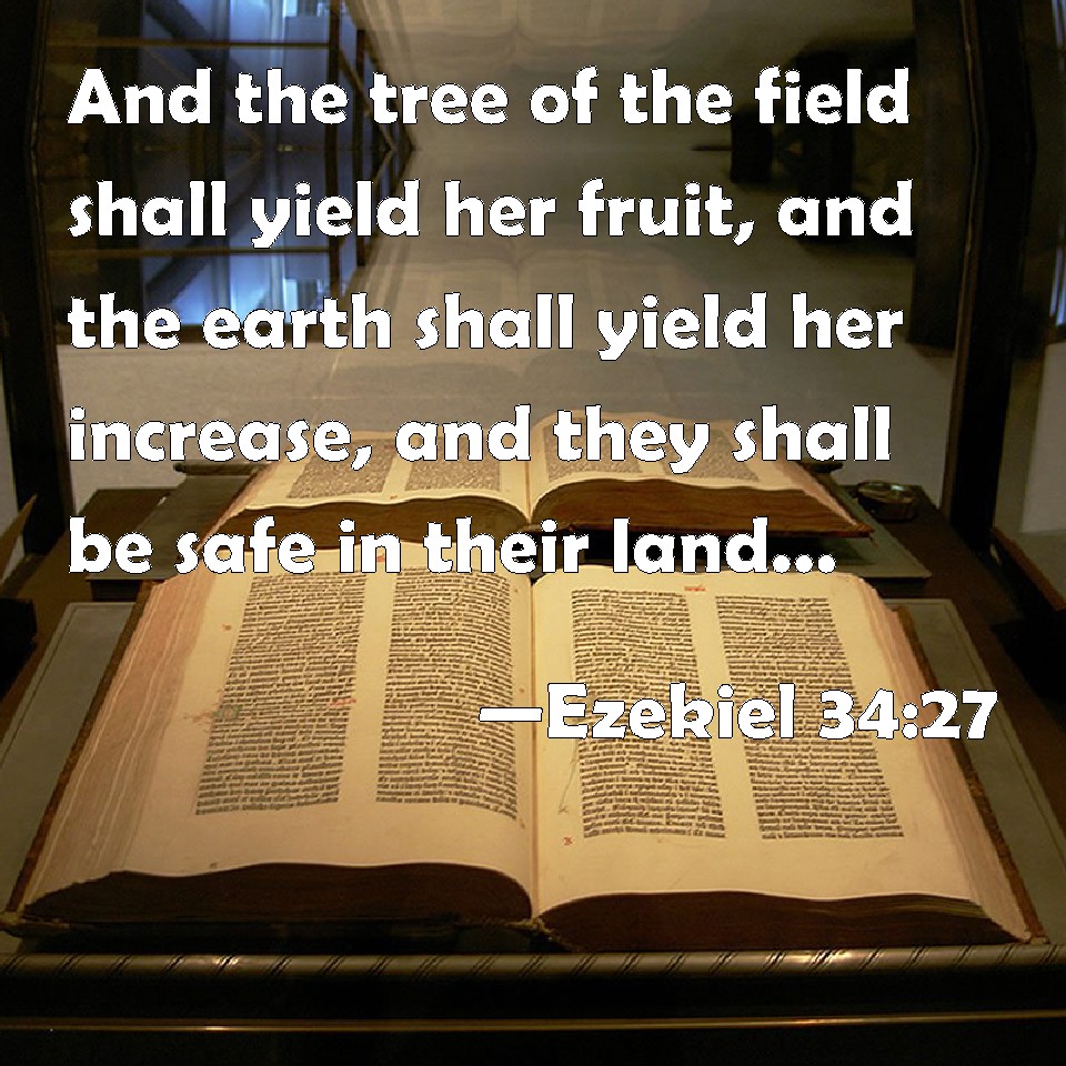 Ezekiel 3427 And the tree of the field shall yield her fruit, and the earth shall yield her