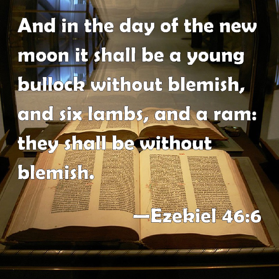 Ezekiel 466 And in the day of the new moon it shall be a young bullock