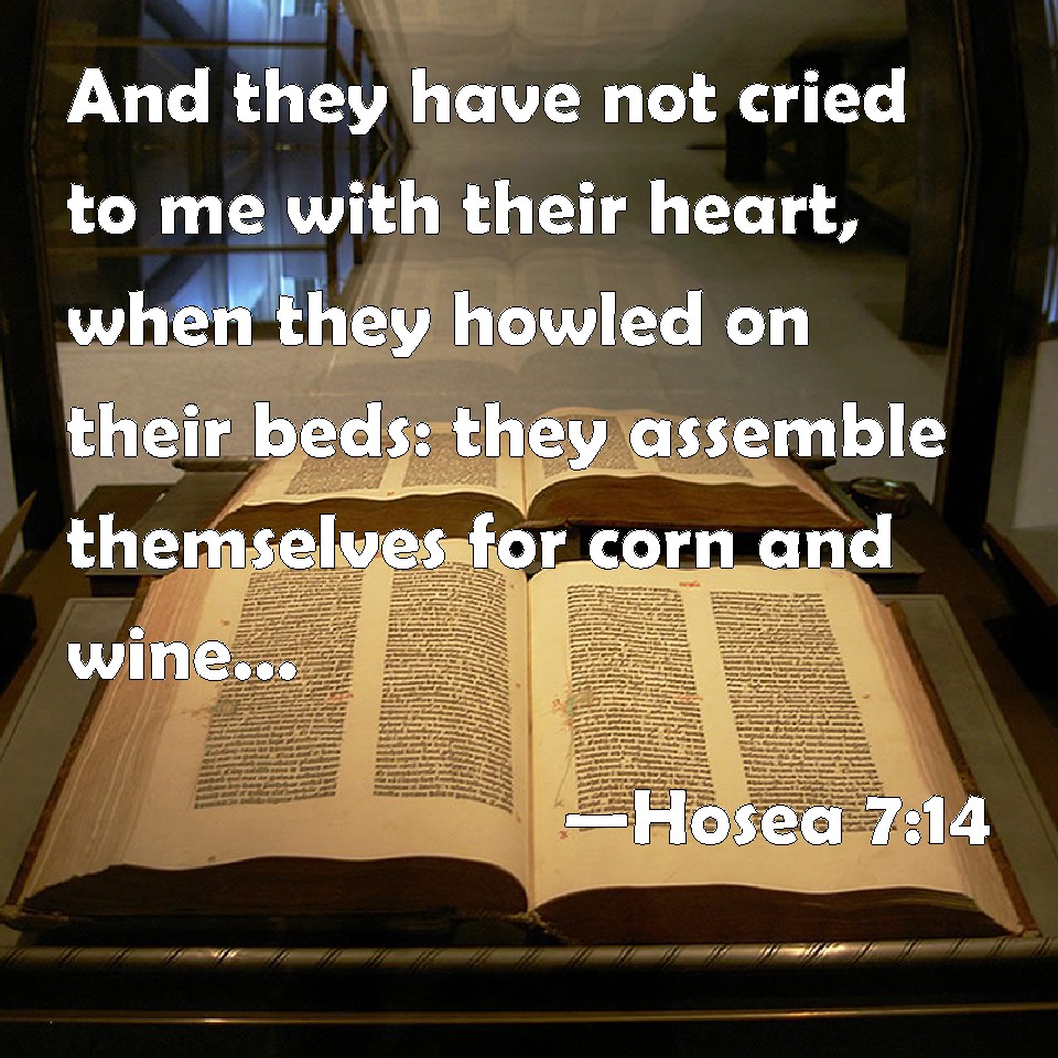 Hosea 714 And they have not cried to me with their heart, when they