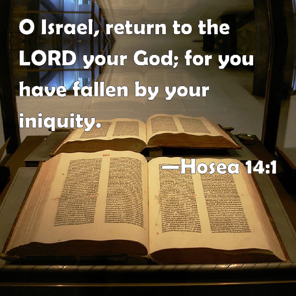 Hosea 141 O Israel, return to the LORD your God; for you have fallen by your iniquity.