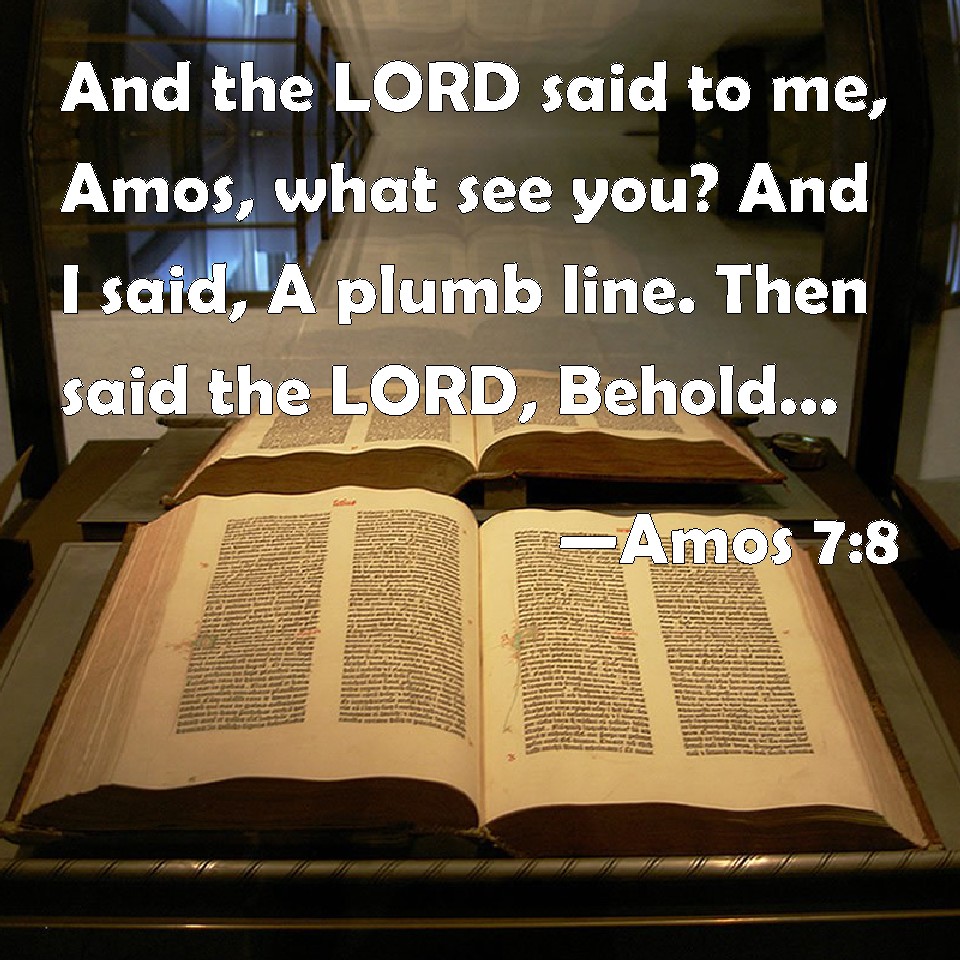 Amos 78 And the LORD said to me, Amos, what see you? And I said, A