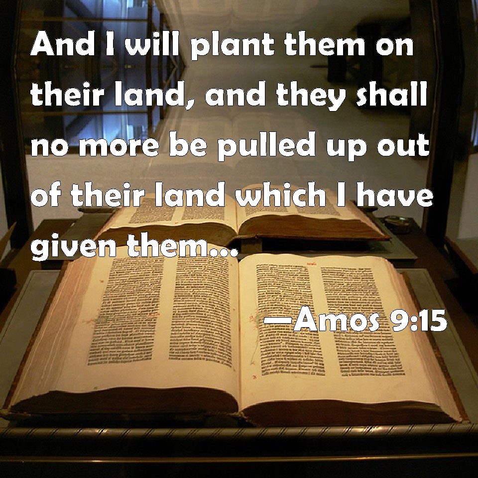 Amos 915 And I will plant them on their land, and they shall no more