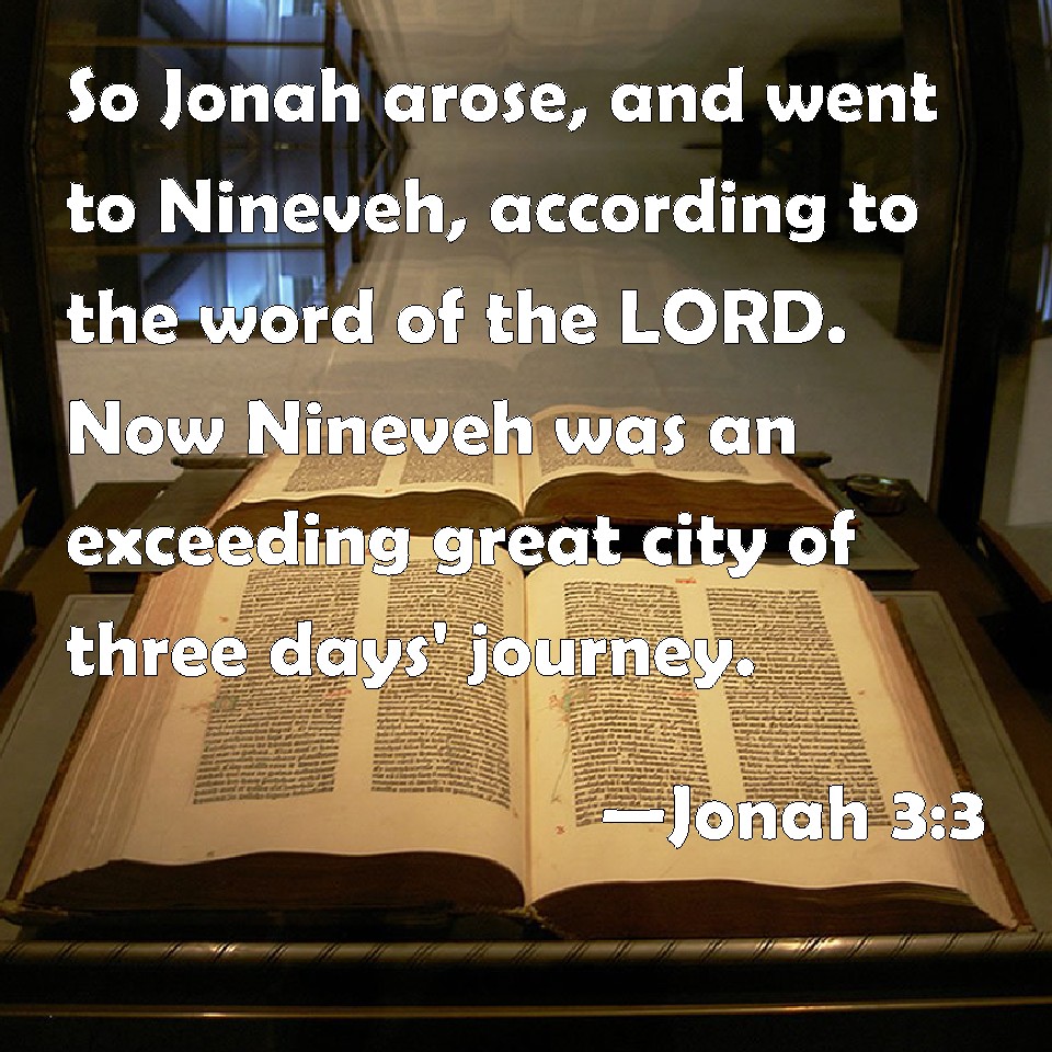Jonah 33 So Jonah arose, and went to Nineveh, according to the word of