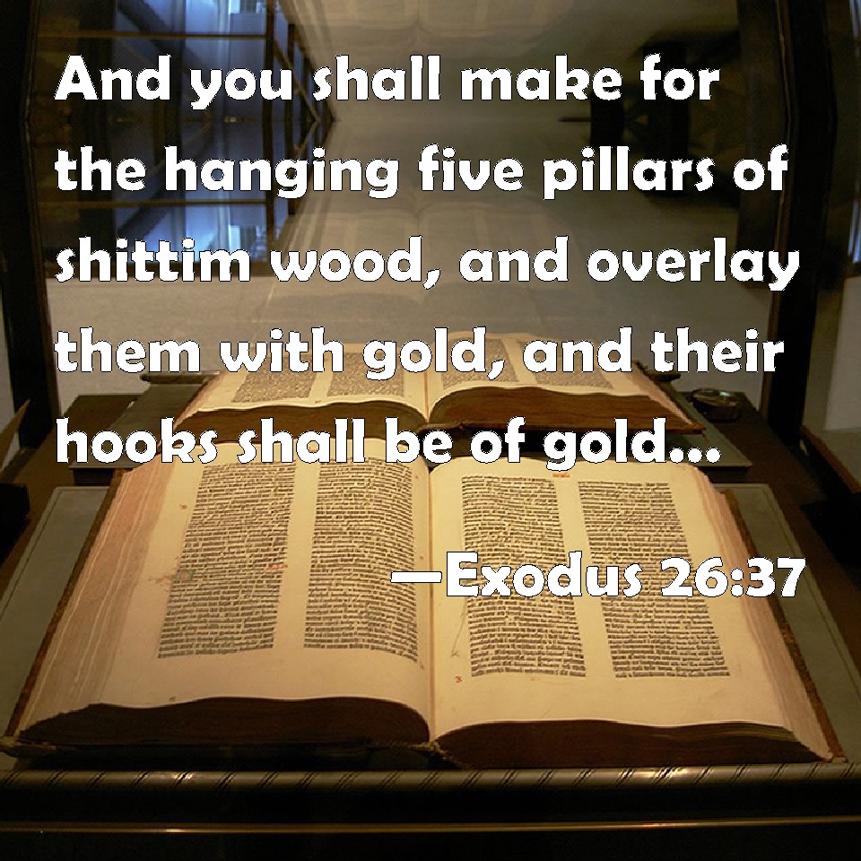 Exodus 2637 And you shall make for the hanging five pillars of shittim
