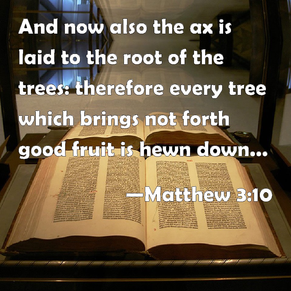 Matthew 310 And now also the ax is laid to the root of the trees