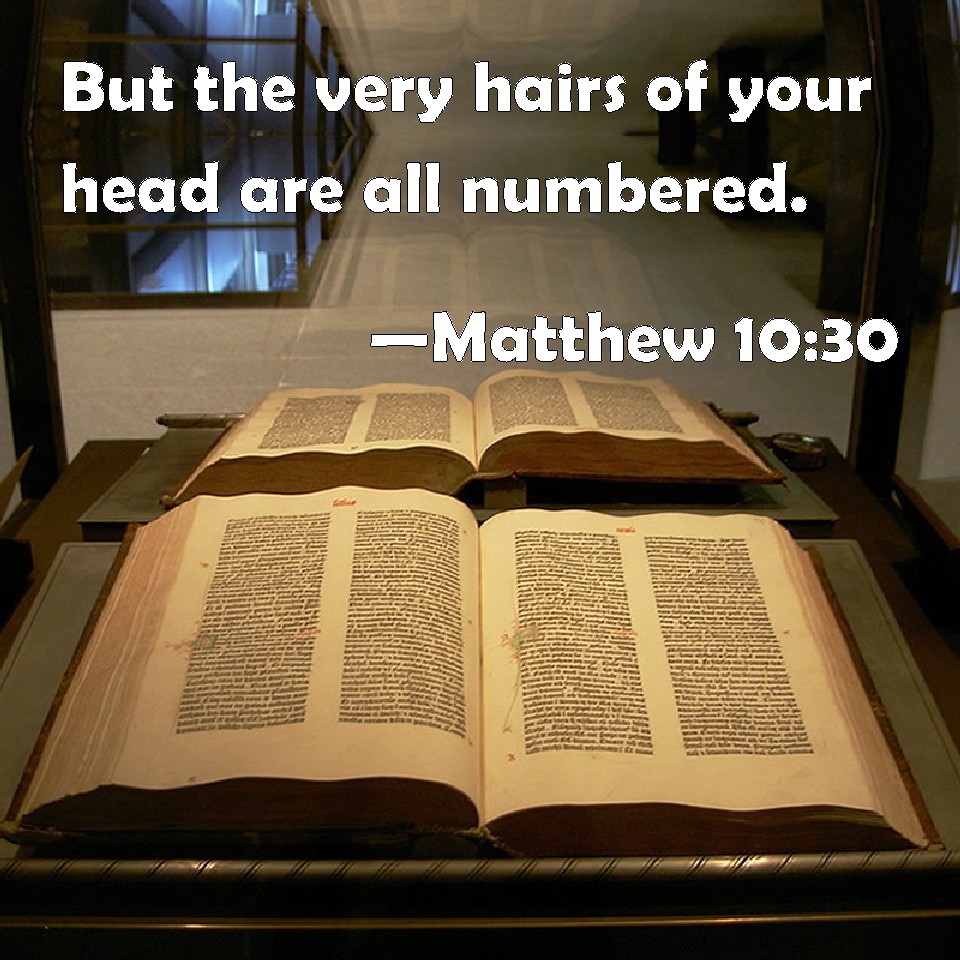 Matthew 1030 But the very hairs of your head are all numbered.
