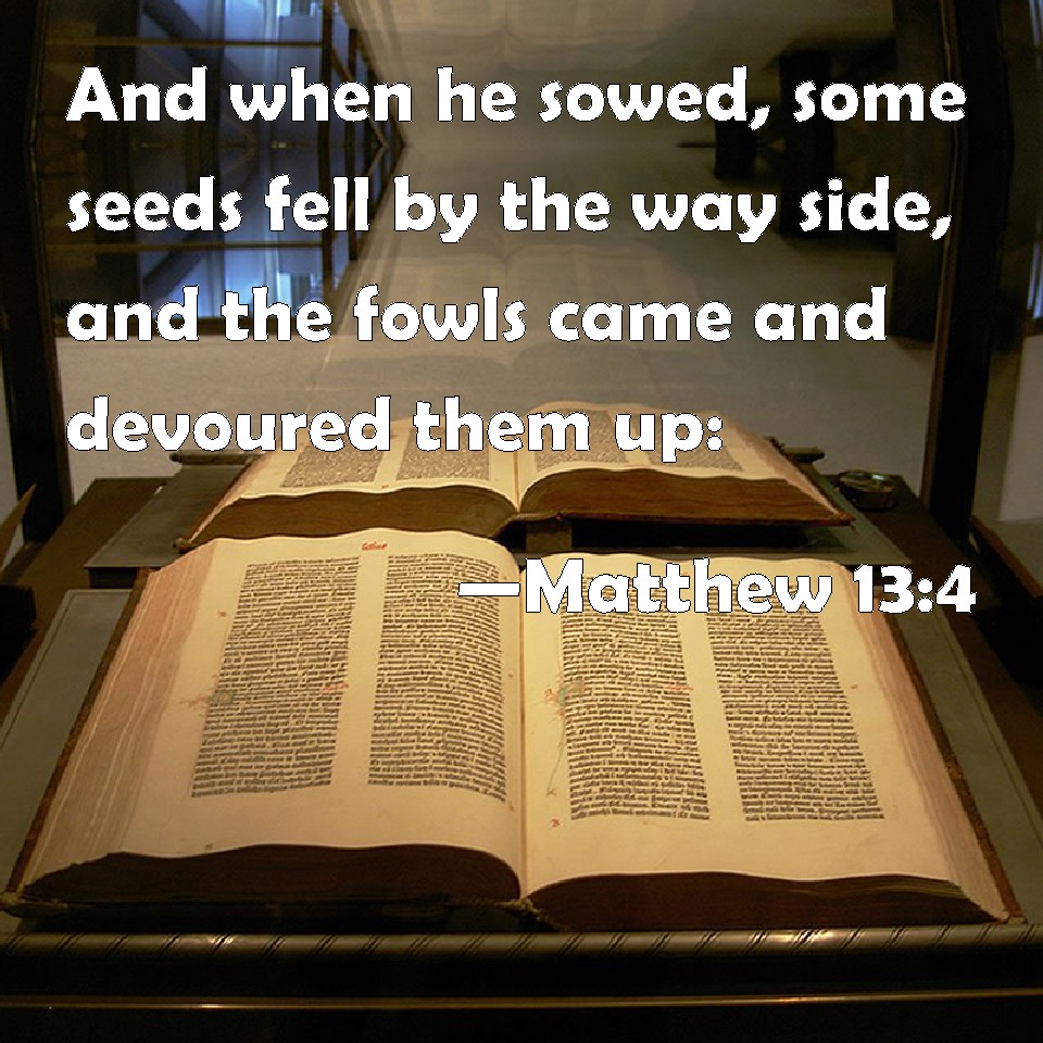 Matthew 134 And when he sowed, some seeds fell by the way side, and