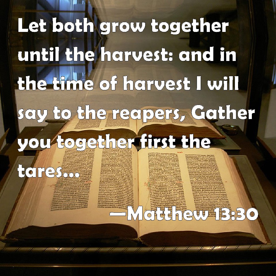 Matthew 1330 Let both grow together until the harvest and in the time